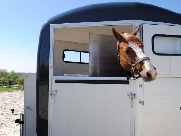 Can A Jeep Wrangler Pull A Horse Trailer?