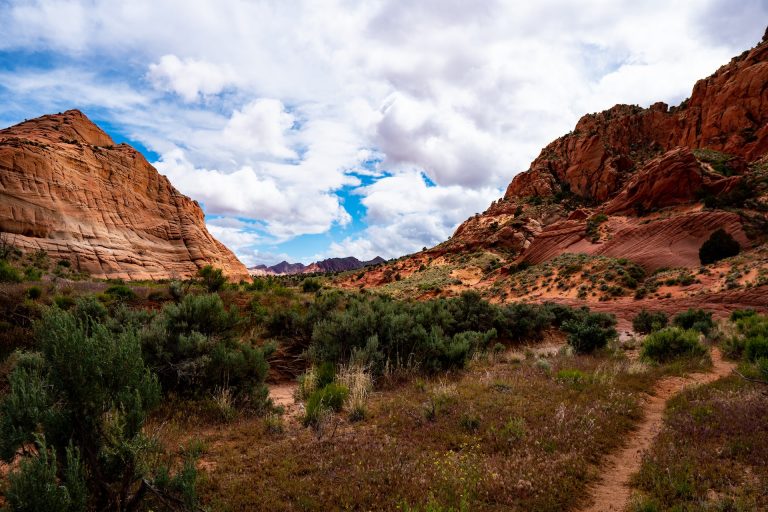 The Best Off-Road Trails in Utah For ATVs and Jeeps